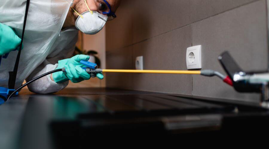 Why choose MMTP Phoenix Ahwatukee for monthly mosquito treatment plans in Phoenix Ahwatukee